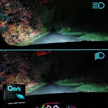 Żarówki LED H1 Qerk Q9 Canbus 6500K Zimna Biel 360° Mocne Światło (Komplet)