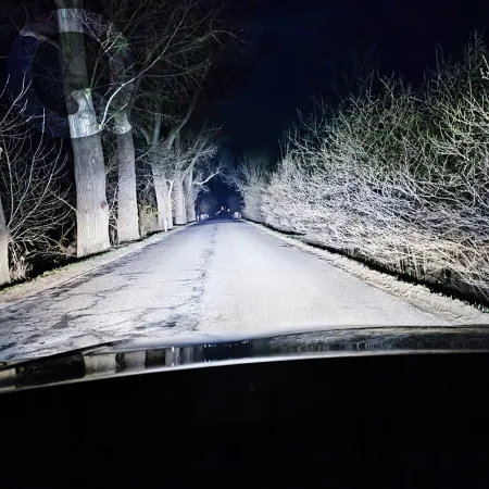 Żarówki LED H1 Qerk Q9 Canbus 6500K Zimna Biel 360° Mocne Światło (Komplet)