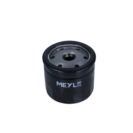 Filtr oleju MEYLE do Ford C-MAX II i Focus IV (od 04.10)